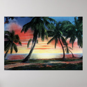 Key West Florida tropisk solnedgång Poster