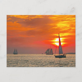 Key West-segelbåtar vid solnedgång Vykort