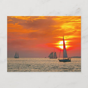 Key West-segelbåtar vid solnedgång Vykort