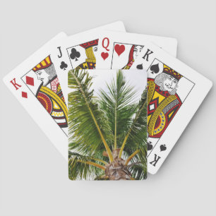 Key West som är tropiskt, palmträd Spel Kort
