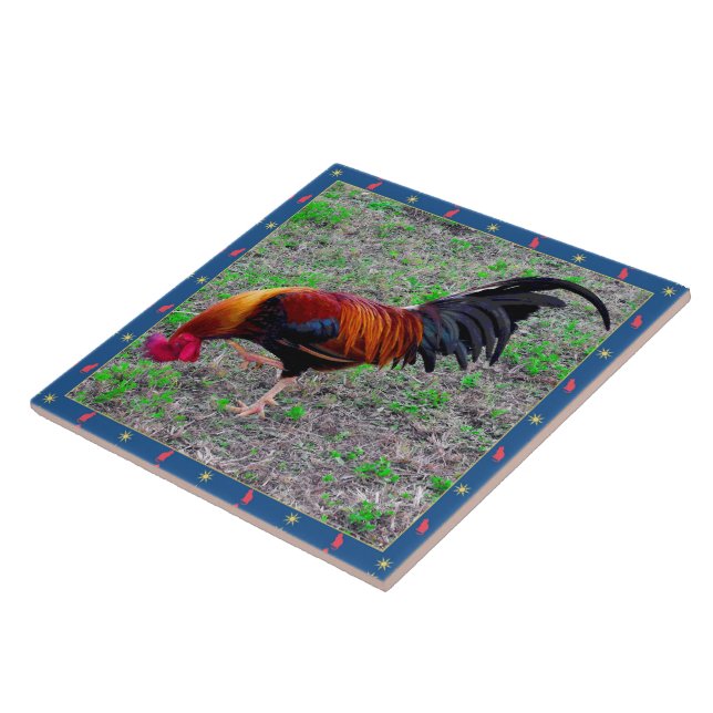 Key West tupp Kakelplatta (Sidan)