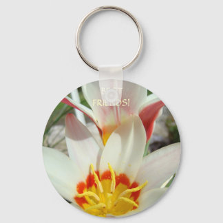 KEYCHAIN Best Friends! NYCKELRINGAR FÖR TULIP-FLÖD