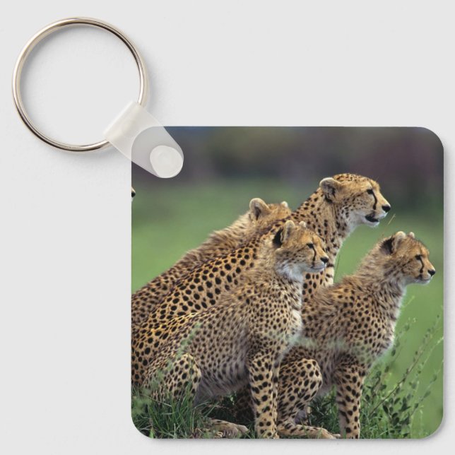 Keychain-Cheetahs nyckelkedja Nyckelring (Framsida)
