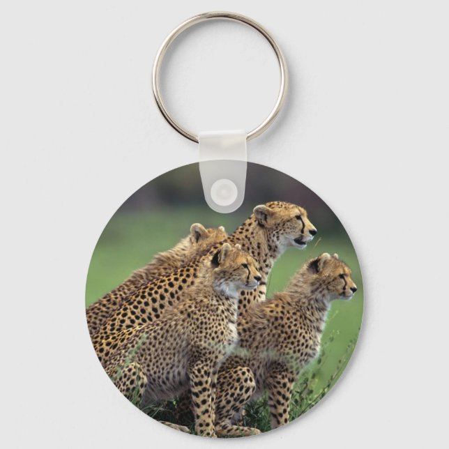 Keychain-Cheetahs Nyckelring (Framsida)