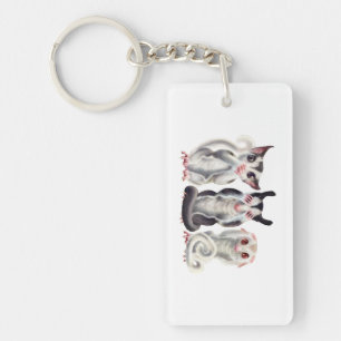 keychain för 3 klok sockerglidflygplan nyckelring