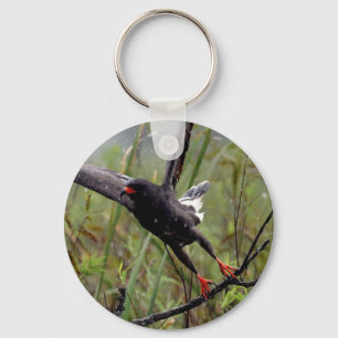 Keychain för Evergladessnigeldrake #1 Nyckelring
