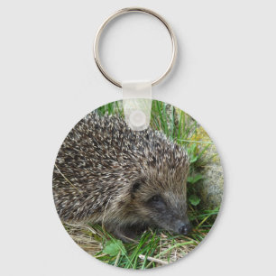 Keychain för igelkott 1 nyckelring