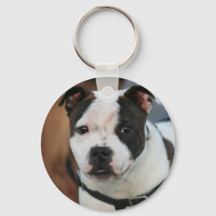Keychain för Staffordshire tjurTerrier Nyckelring