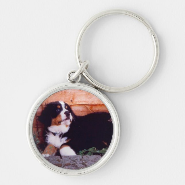 Keychain för valp för Bernese berghund Rund Silverfärgad Nyckelring (Framsidan)