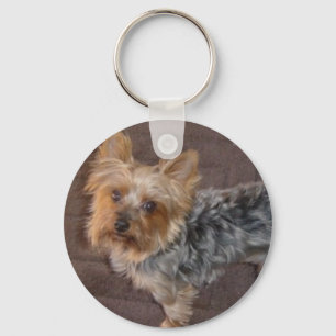 Keychain för Yorkshire Terrier Nyckelring