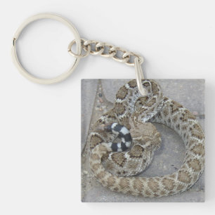 Keychain med babyskallerormen