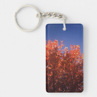 Keychain med den original- nedgångbilden
