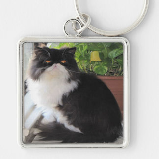 Keychain med en katt på honom fyrkantig silverfärgad nyckelring