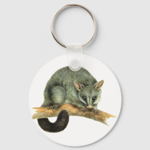 Keychain - pungråtta nyckelring