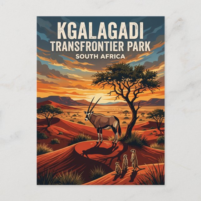 Kgalagadi Transfrontier Park Sydafrika Vykort (Framsida)