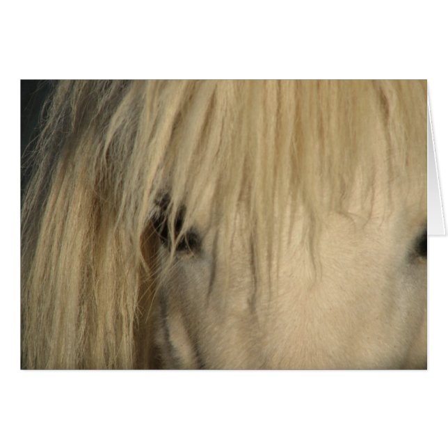 Khalif Hälsningskort (Framsidan Horizontal)