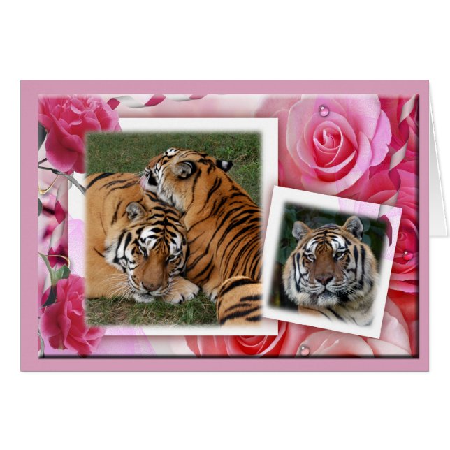 Khan-00100-65x45 Hälsningskort (Framsidan Horizontal)