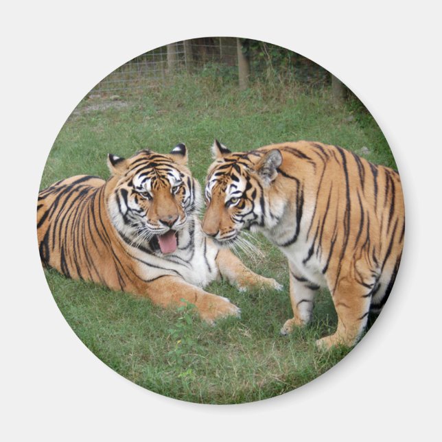 khan-n-china009 magnet (Framsidan)