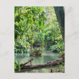 Khoung Si Falls, Forest Sjö, Laos Vykort