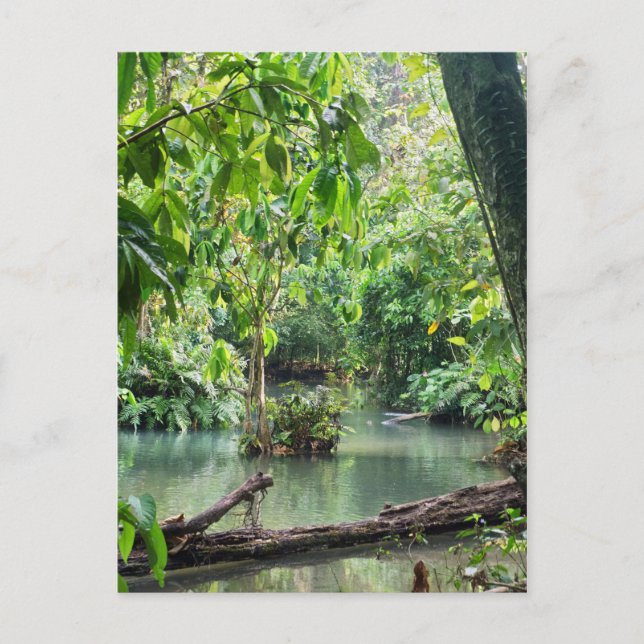 Khoung Si Falls, Forest Sjö, Laos Vykort (Framsida)