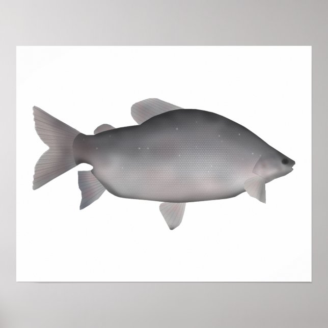 Khraish Poster (Framsidan)