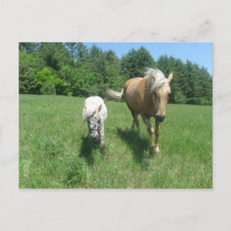 Khrysta och Pengarar Vykort