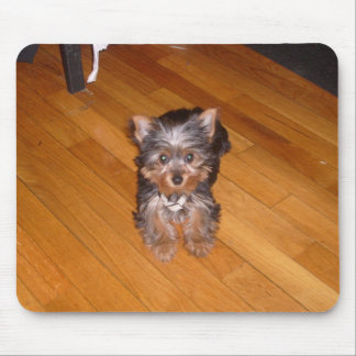 KIARAS VÄRLD MUSMATTA