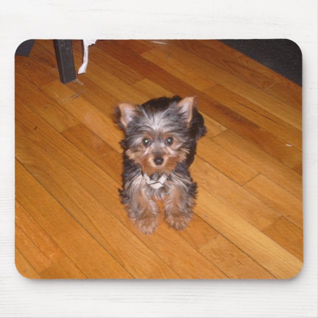 KIARAS VÄRLD MUSMATTA (Framsidan)