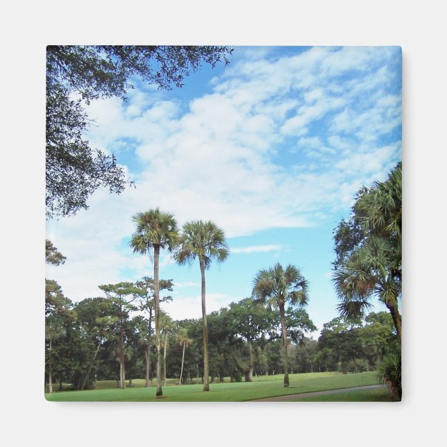Kiawah Island Magnet (Framsidan)