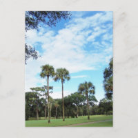 Kiawah Island vykort