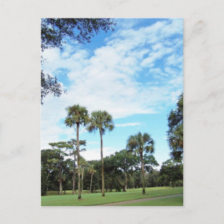 Kiawah Island vykort