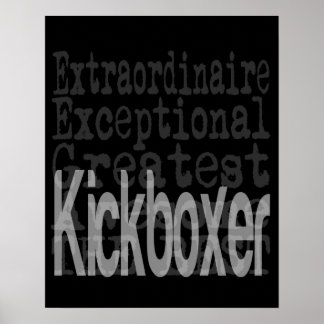 Kickboxer Extraordinaire Poster