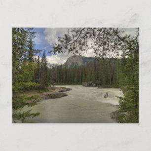 Kicking Horse River Vykort