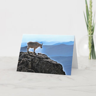 KickRockies vaktpost Kort