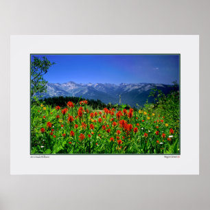 KickSierra Nevada vildblommar Poster