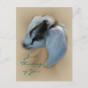 Kid Goat Postcard- anpassa Vykort
