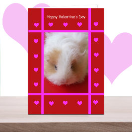 Kid Guinea Gris Valentine Card Helgkort