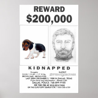 Kidnappad fullständig ANPASSADE Poster REWARD