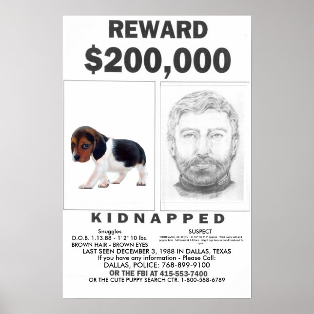 Kidnappad fullständig ANPASSADE Poster REWARD (Framsidan)