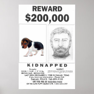 Kidnappad fullständigt ANPASSADEaffischBELÖNING Poster