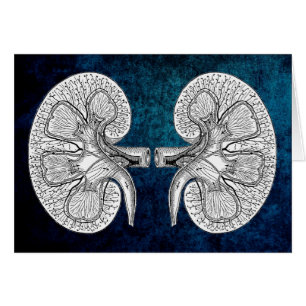 KIDNEY 2 TECKNING HÄLSNINGSKORT