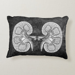 KIDNEY 2 TECKNING PILLOW PRYDNADSKUDDE