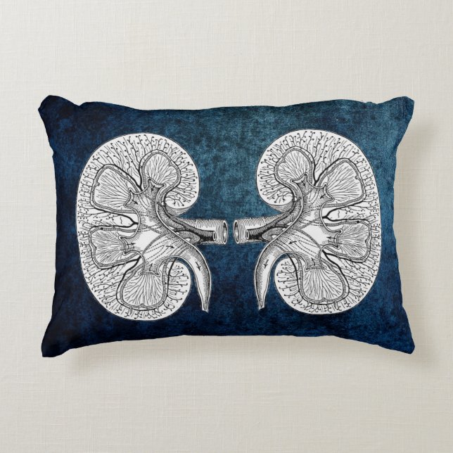 KIDNEY 2 TECKNING PILLOW PRYDNADSKUDDE (Framsidan)
