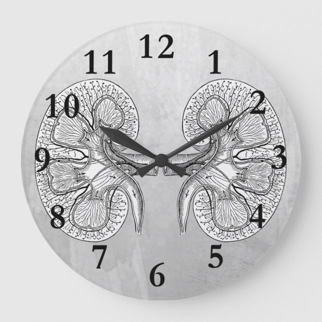 KIDNEY 2 TECKNING STOR KLOCKA (Framsida)