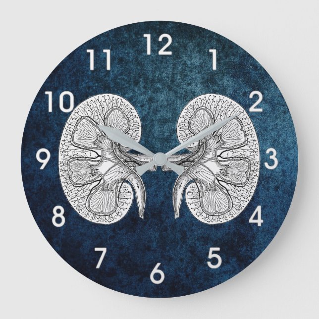 KIDNEY 2 TECKNING STOR KLOCKA (Framsida)