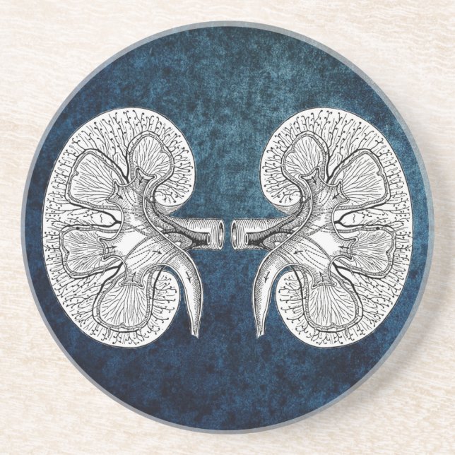 KIDNEY 2 TECKNING UNDERLÄGG (Framsidan)