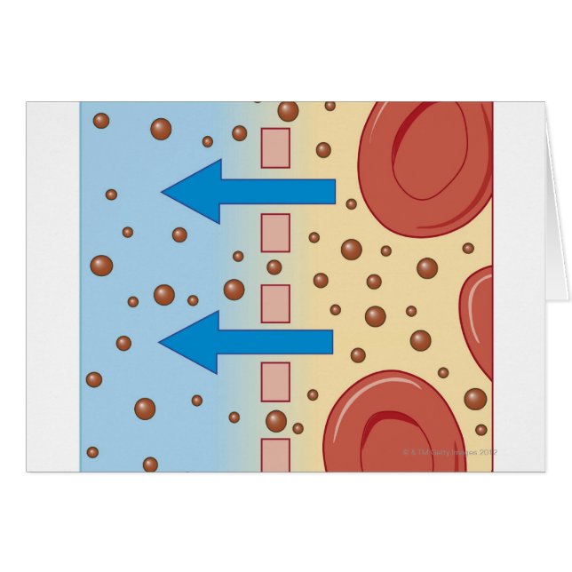 Kidney Dialysis Hälsningskort (Framsidan Horizontal)