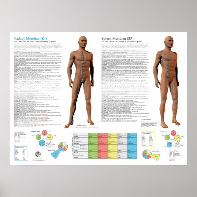 Kidney Meridian Acupuncture Points Poster (Framsidan)