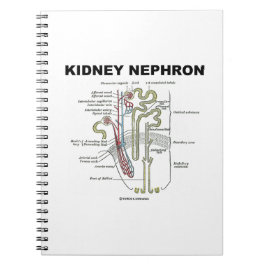 Kidney Nephron (Gråttets Anatomy Texbook) Anteckningsbok Med Spiral