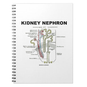 Kidney Nephron (Gråttets Anatomy Texbook) Anteckningsbok Med Spiral